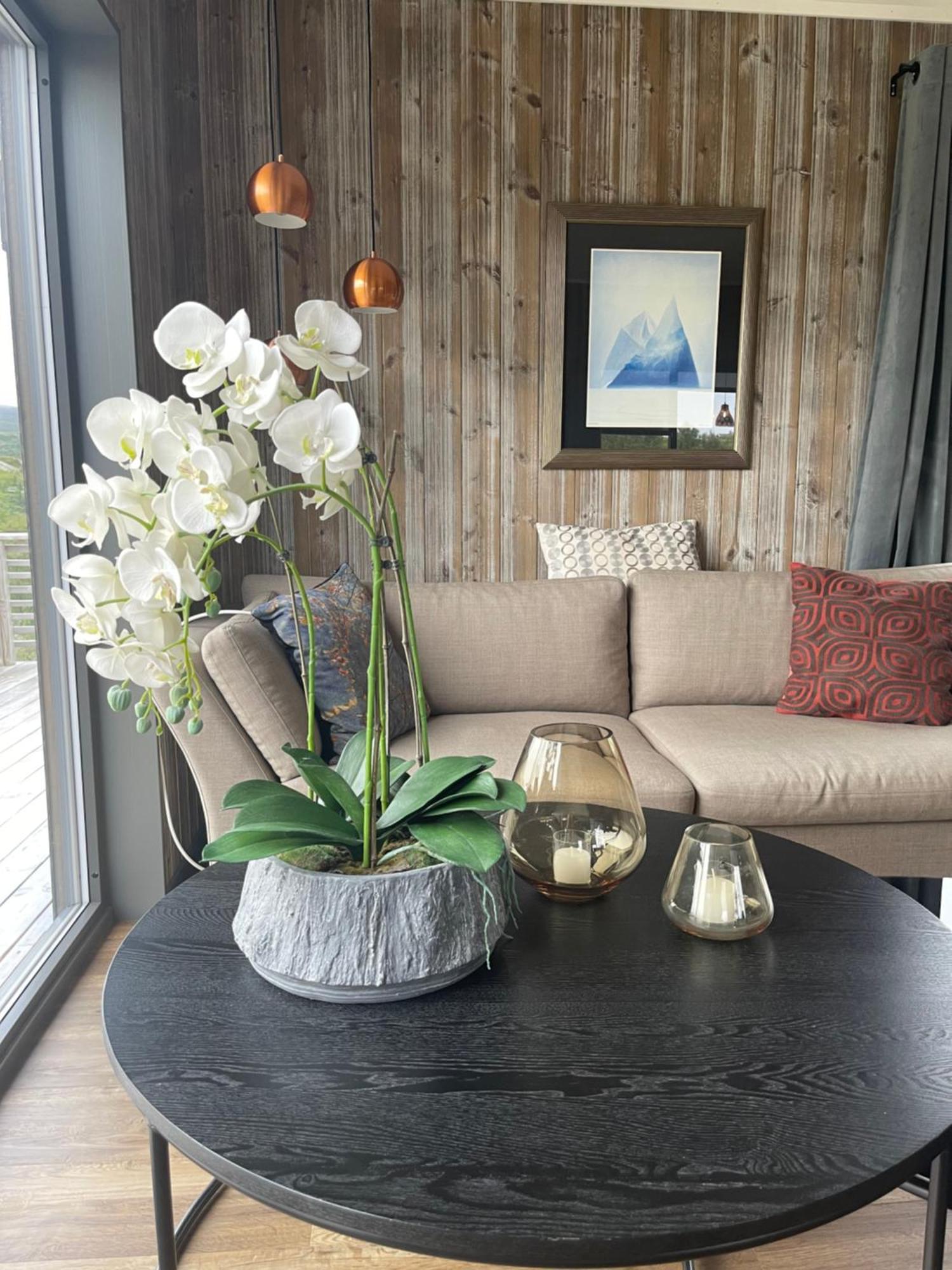 Luksushytte I Kokelv Extérieur photo